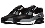 Nike Air Max 90 Essential 'Cool Grey' AJ1285-018