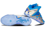 Nike LeBron 11 Elite Collection 'Maison Du LeBron' 682892-404