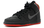 Nike x SPoT SB Dunk High Pro 'Gasparilla' 313171-028