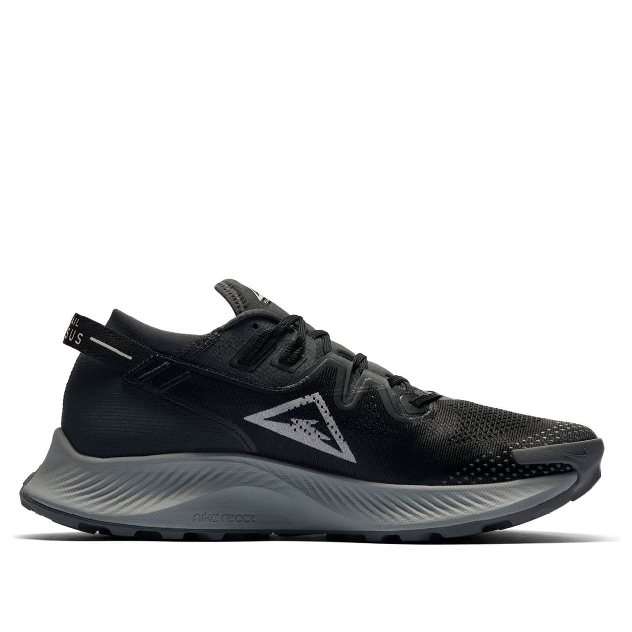 Nike Pegasus Trail 2 'Dark Smoke Grey' CK4305-002