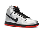 Nike SB Dunk High Pro 'Steel Reserve' 305050-027