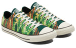 Converse Chuck Taylor All Star 'Green Brown' 170845C
