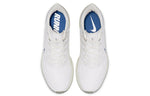 Nike Air Zoom Pegasus 36 'Platinum Royal' AQ2203-005