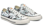 Converse Carhartt WIP x Chuck 70 Low 'Hinterland' 171238C