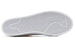 Nike Blazer SB Premium SE 'Geoff McFetridge' 819861-188