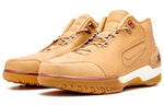 Nike Air Zoom Generation QS 'All Star Vachetta Tan' 308214-200