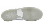 Nike SB Dunk High Pro 'White Ice' 305050-113