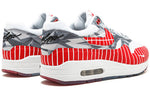 Nike x Wasafu Air Max 1 'Nomad' AH7740-100