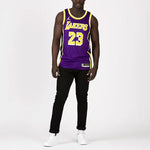 Nike Los Angeles Lakers LeBron James Statement Jersey 'Purple Yellow' CV9481-508