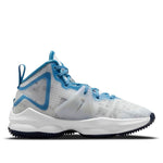 (PS) Nike Space Jam x LeBron 19 'Sweatsuit' DD0421-100