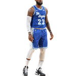 Nike NBA LeBron James Los Angeles Lakers 2020/21 Fan Edition Jersey #23 CN1027-404