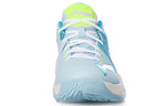 Li-Ning Td Low Basketball Shoe Blue ABPQ035-3