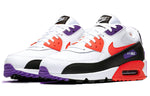 Nike Air Max 90 Essential 'Raptors' AJ1285-106