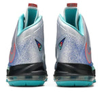 Nike LeBron 10 'Pure Platinum' 541100-008