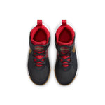 (PS) Nike Team Hustle D9 'Dark Smoke Grey Metallic Gold' AQ4225-011