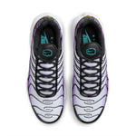 Nike Air Max Plus 'Reverse Grape' FQ2415-500