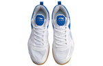 Li-Ning Ma Long Signature Table Tennis Shoes 'Blue White' APTP001-1