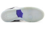 Nike SB Dunk Low Pro 'Concord' 304292-043