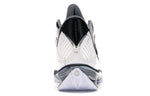 Air Jordan 2009 'White Metallic Silver' 343084-161