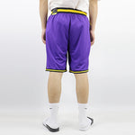 Nike NBA Statement DNA Los Angeles Lakers Basketball Training Sports Shorts Purple AV3537-504