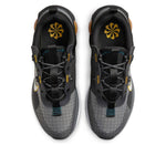 Nike Air Max 2021 'Anthracite University Gold' DH5134-001