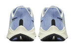 (WMNS) Nike Air Zoom Vomero 14 'Aluminum' AH7858-400