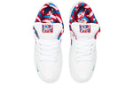 Nike SB Skateboard Dunk Low OG QS 'White' CN4504-100