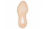 adidas Yeezy Boost 350 V2 'Synth Reflective' FV5666