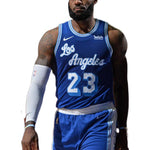 Nike NBA LeBron James Los Angeles Lakers 2020/21 Fan Edition Jersey #23 CN1027-404