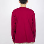 Men's Nike ACG Logo Printing Sports Round Neck Long Sleeves Wine Red T-Shirt BQ7203-620