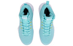 Li-Ning TD Shock Absorption Mid Tops Basketball Shoe ABPQ027-5