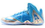 Nike LeBron 11 Elite Collection 'Maison Du LeBron' 682892-404