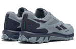 Reebok Ridgerider 5.0 'Meteor Grey' FW5275