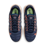 Nike Air Max Terrascape Plus 'Obsidian Madder Root' DN4587-400