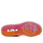 Nike LeBron 9 Low 'Floridian' 510811-800