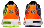 Nike Air Max Plus 'Color Flip' CI5924-061