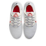 Nike Flex Experience Run 10 'Platinum Tint Chile Red' CI9960-009