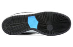 Nike SB Dunk Low Premium 'Maple Leaf' 313170-021