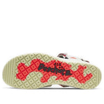 Nike ACG Air Deschutz 'Spruce' CT2890-001