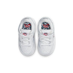 (TD) Nike x Oski SB Dunk Low 'Great White Shark' DJ3759-105