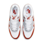 Nike Air Max 1 LV8 'Martian Sunrise' DH4059-102