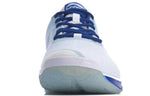Li-Ning Badminton Shoes AYTP019-13