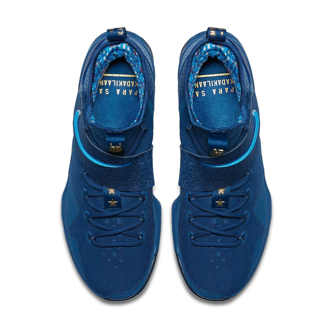 Nike LeBron 14 Limited 'Agimat' 852402-400