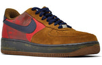 Nike Air Force 1 Premium 'Vince Carter' 2007 315181-241