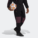 adidas Dfb Ls Flc Pnt HF4070