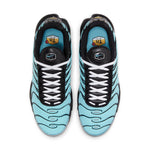 Nike Air Max Plus 'Aqua Silver' CV8838-400