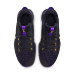 Nike LeBron Witness 5 EP 'Lakers' CQ9381-001