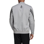 adidas M Ct Safin Tt Logo GN6884