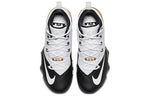 Nike Ambassador IX 'White Black Metallic Gold' 852413-110