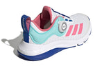 (GS) adidas ActiveFlex Boa J 'White Rose Tone' FZ5059